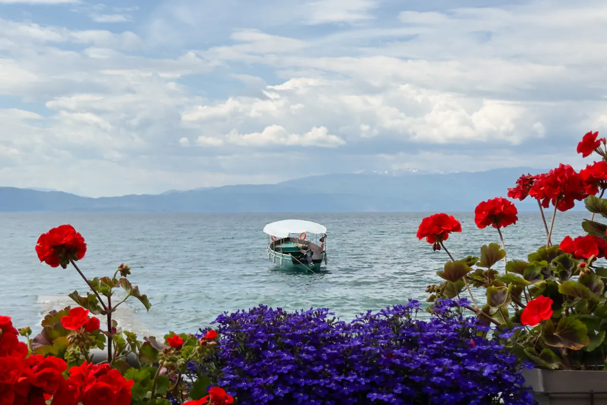 Small covered boat floating on Lake Ohrid beneath cloudy skies with mountains visible in the distance. Bright red geraniums and purple flowers frame the waterfront view in the foreground.