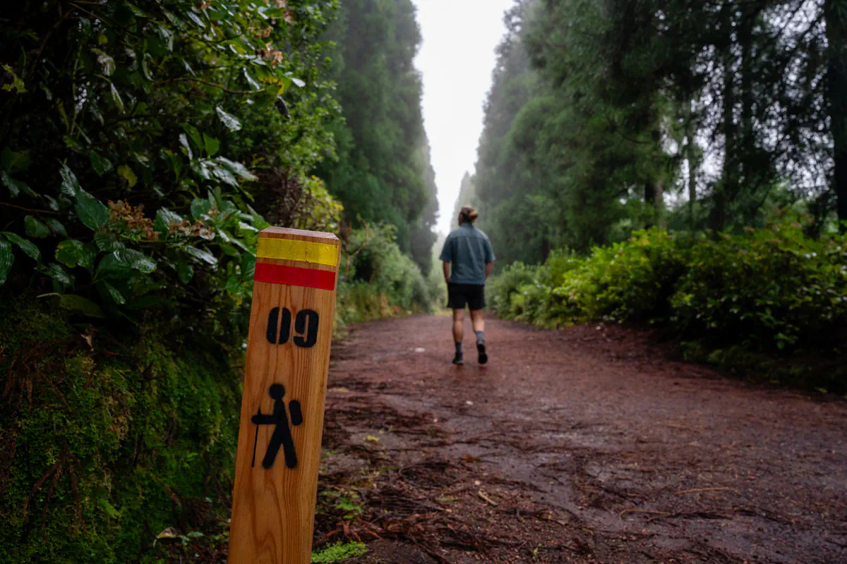 A wooden trail marker with a hiker icon and number 09 stands beside a forest path as a person walks away into a misty tree lined trail.