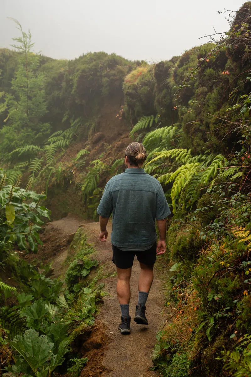 A man walks along a narrow dirt trail surrounded by dense green ferns and vegetation in a foggy landscape.