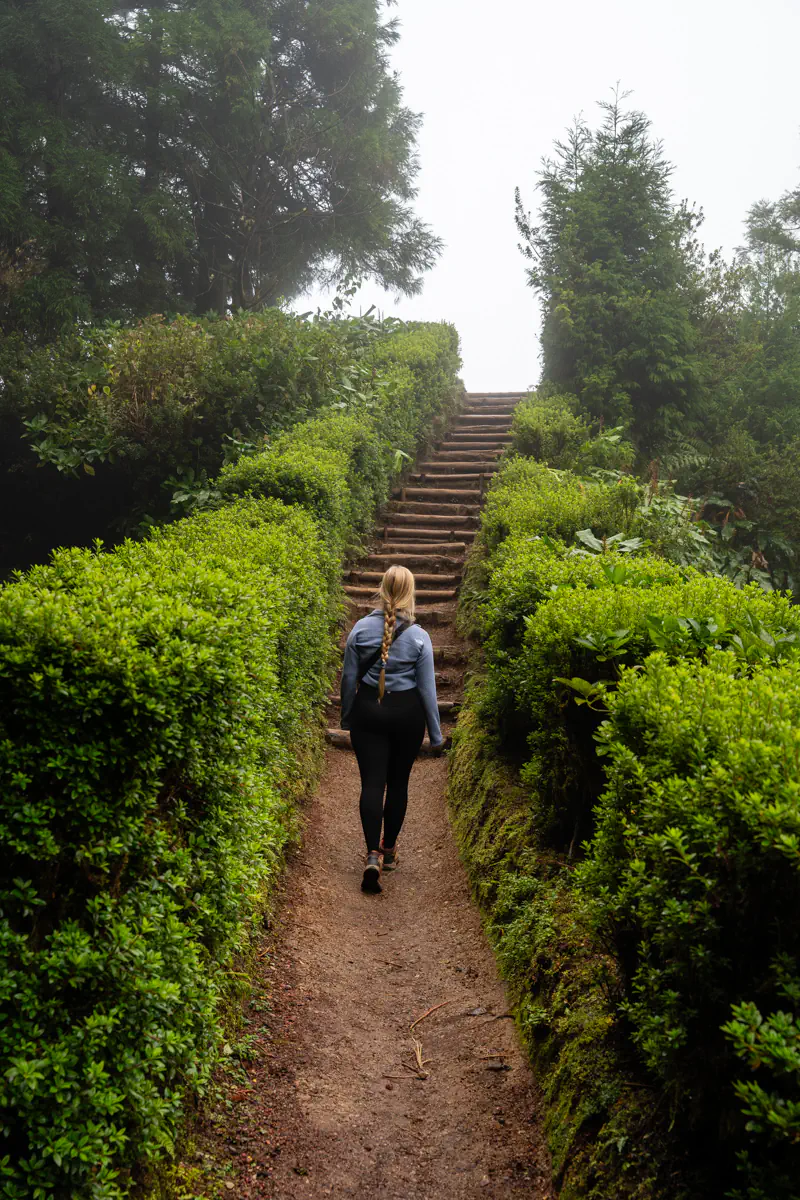A woman walks along a forest trail toward a set of wooden steps surrounded by lush greenery and low hanging mist.