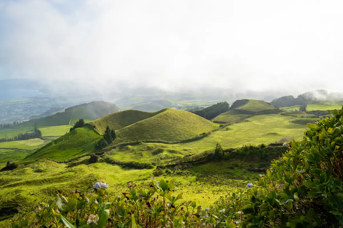 Rolling green volcanic hills stretch across a landscape under low clouds and soft sunlight, with shrubs and plants in the foreground.