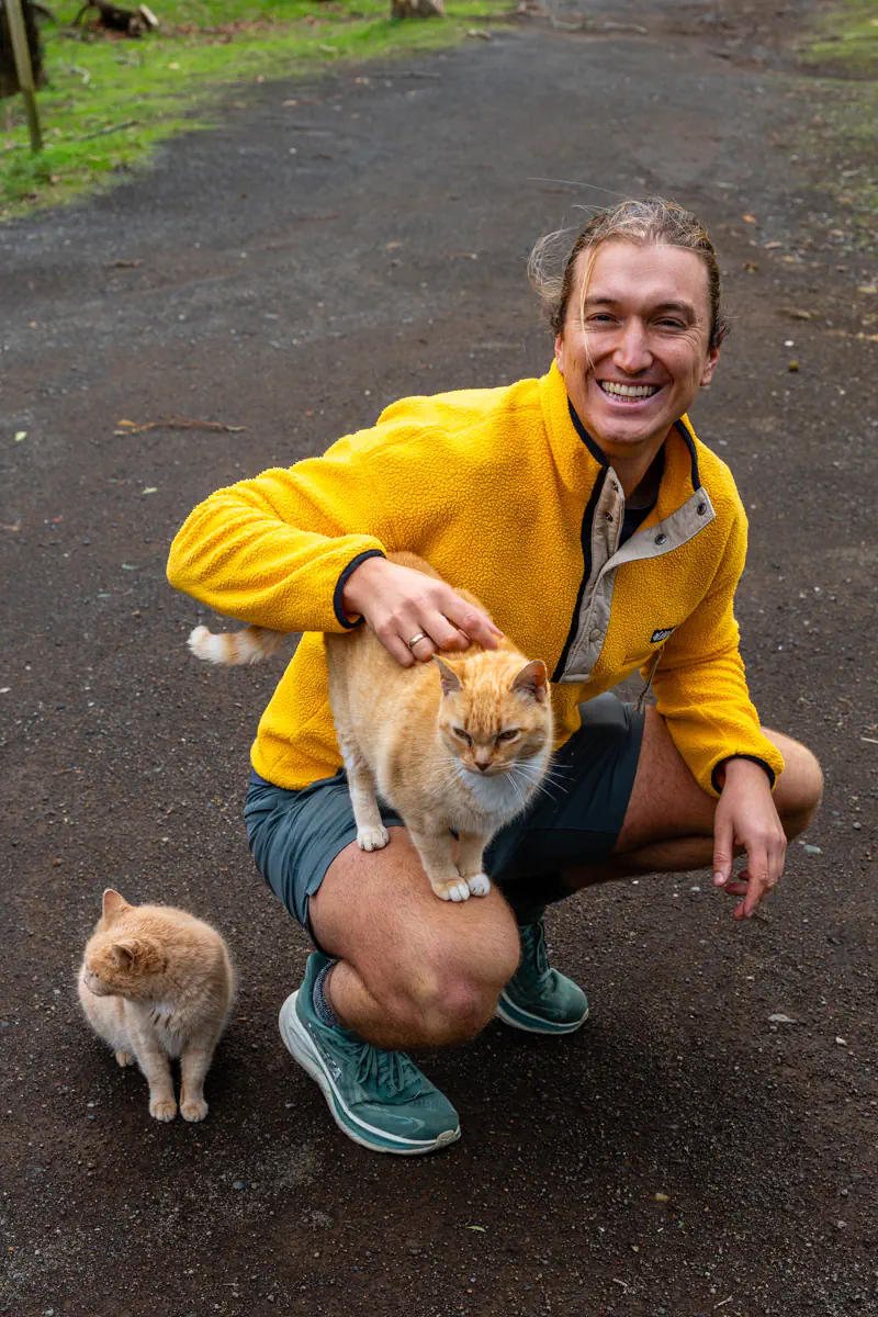 A smiling person crouches on a gravel trail on Terceira Island to pet an orange tabby cat perched on their knee, while a smaller ginger kitten sits nearby on the road.