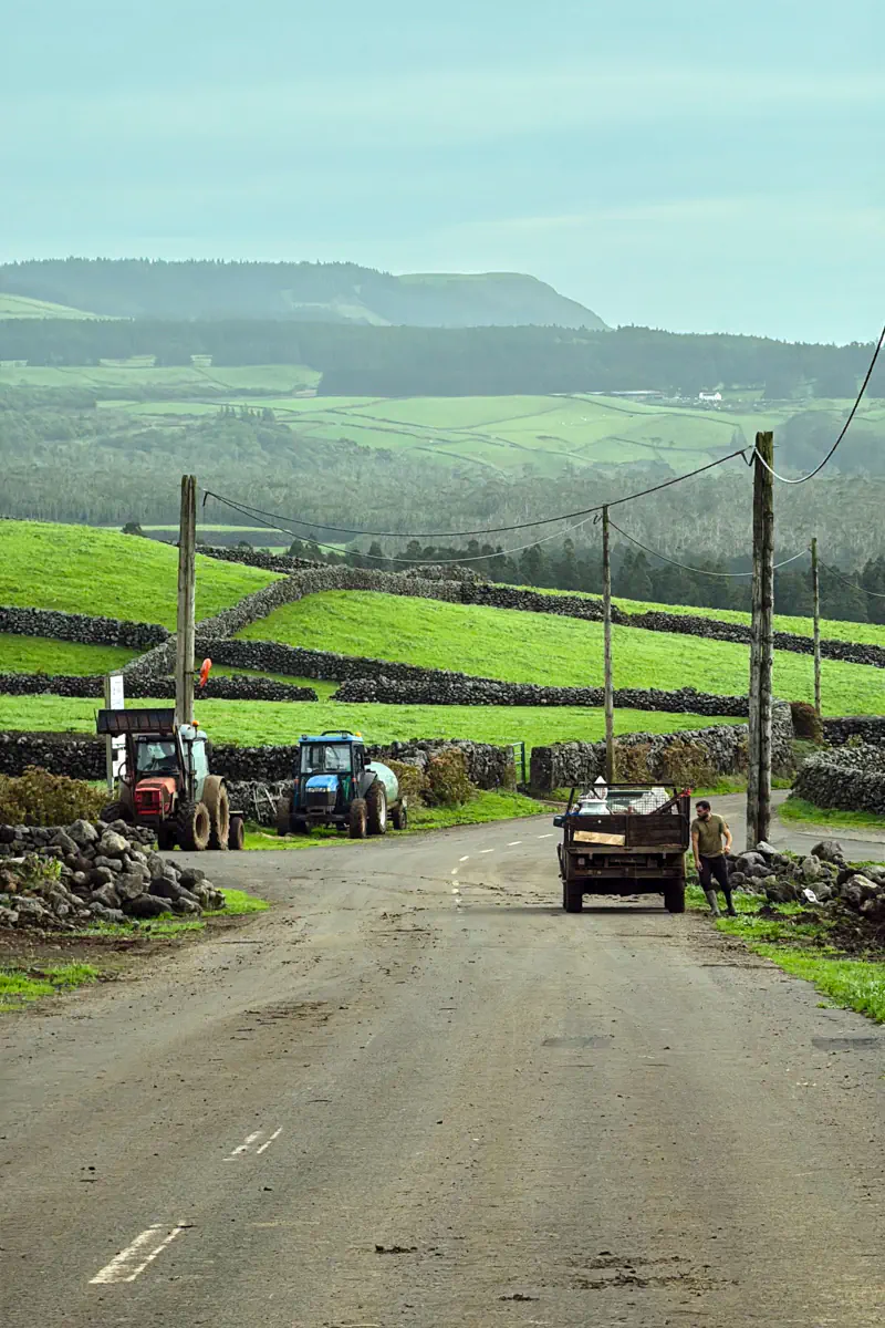 A straight rural road on Terceira Island stretches toward rolling green hills divided by lava stone walls, with two tractors parked on the roadside and a farmer standing beside a flatbed truck in the middle of the road against a mountainous backdrop.