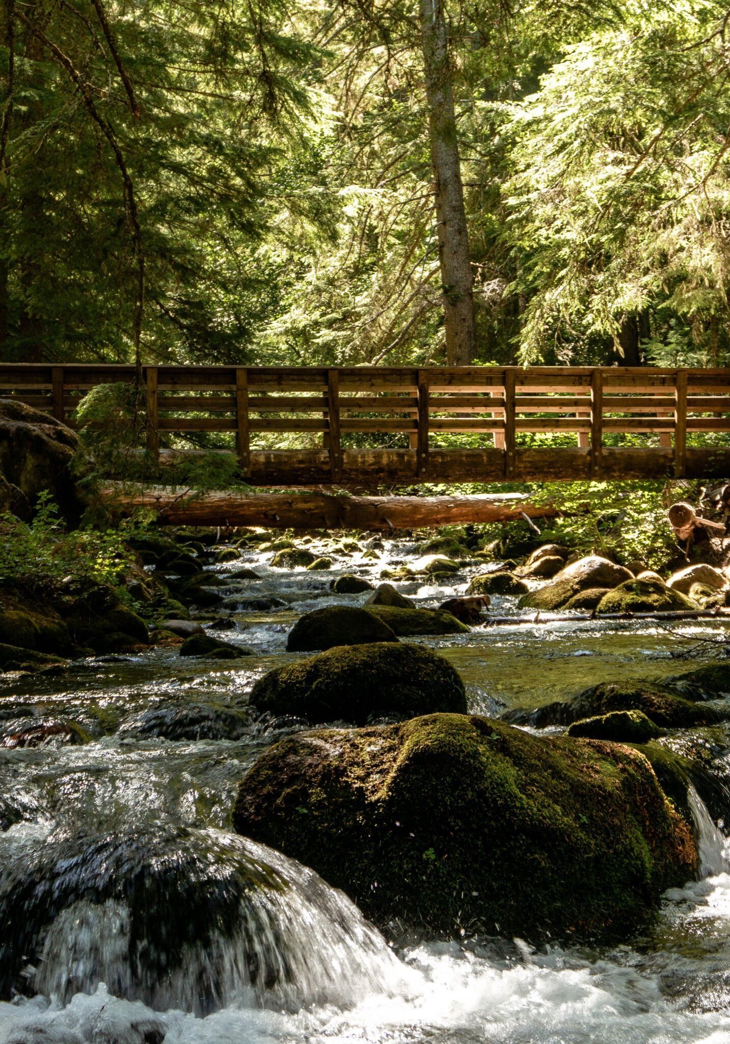 Activities Near Me