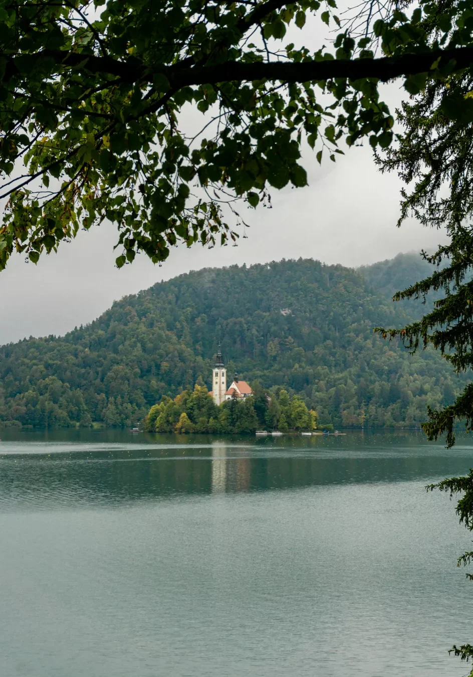 View of Bled Island from a hiking trail in Bled.