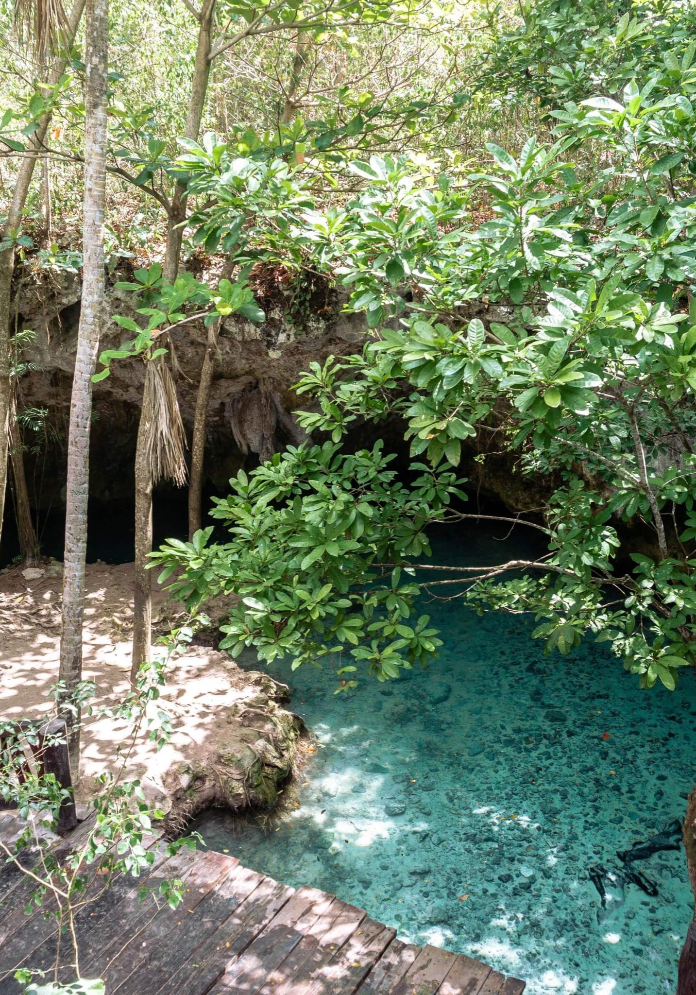 Cenotes in Tulum 8