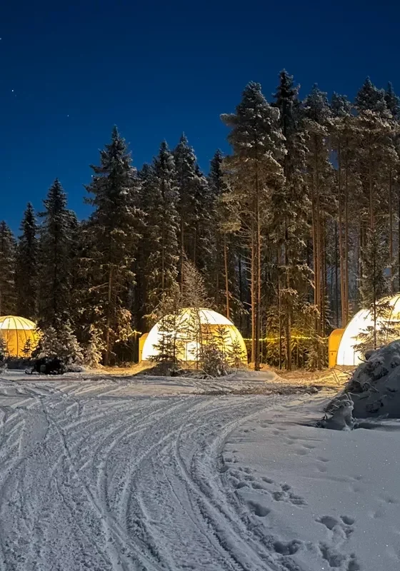 A row of glowing igloo-shaped cabins in front of a snowy forest edge under a clear starry night sky.