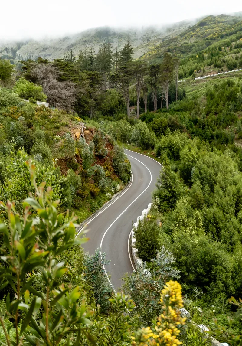Beautiful mountain roads in Madeira.