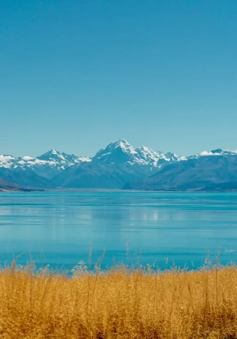 Golden grass in the foreground frames an incredible view of Lake Pukaki with its striking turquoise water, backed by the snow-covered peak of Aoraki Mount Cook under a clear blue sky. The scene captures the serene beauty of New Zealand's Southern Alps from the Pukaki Kettle Hole Track.