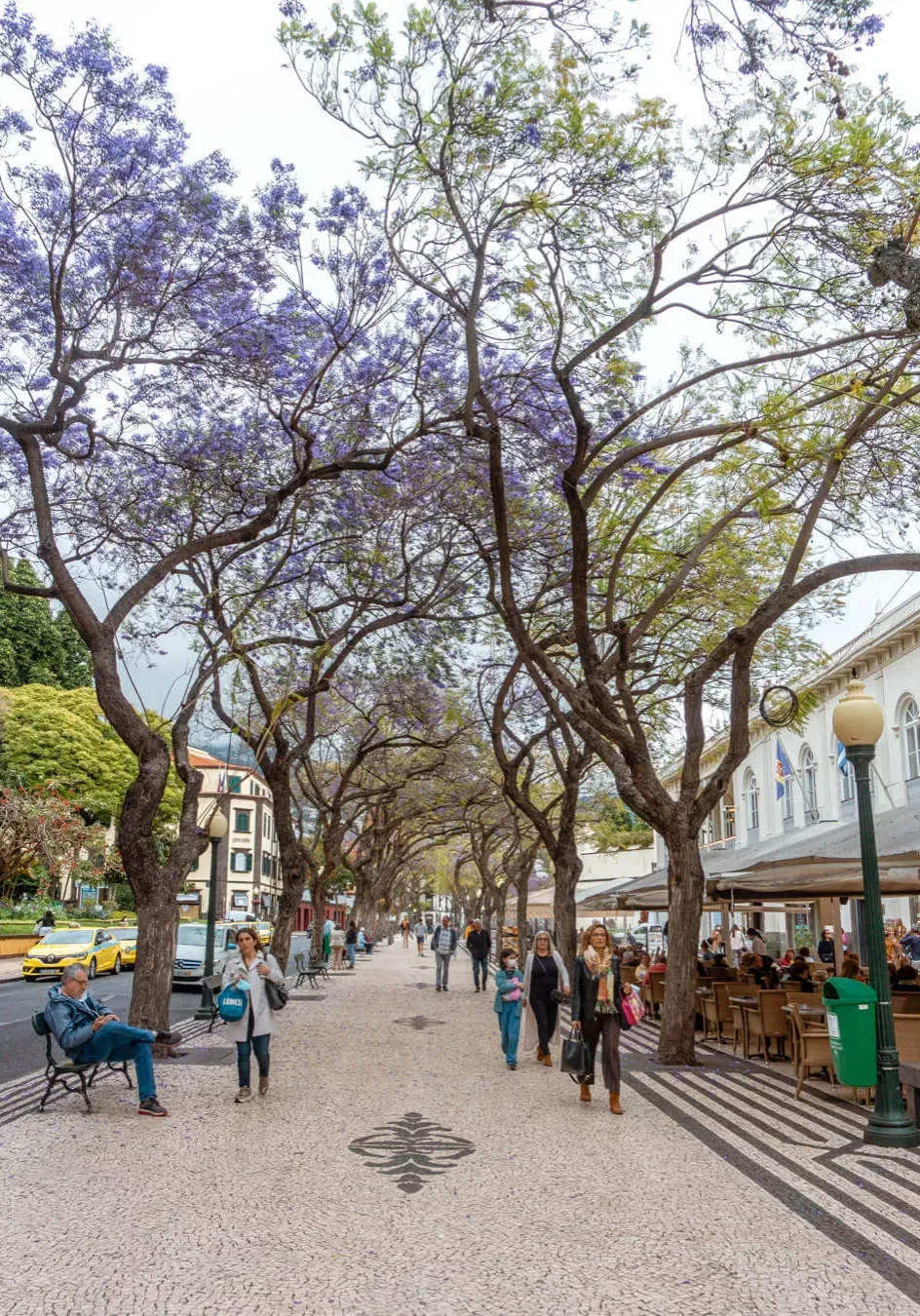 View from our free walking tour in Funchal, Madeira.