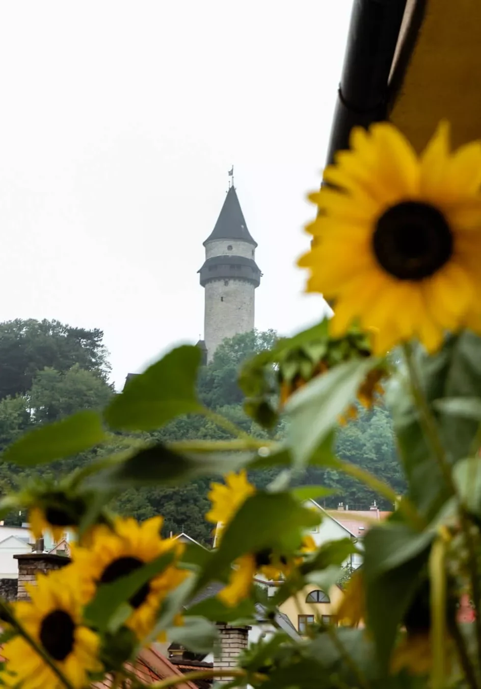 Beautiful photo of Stramberk Castle.