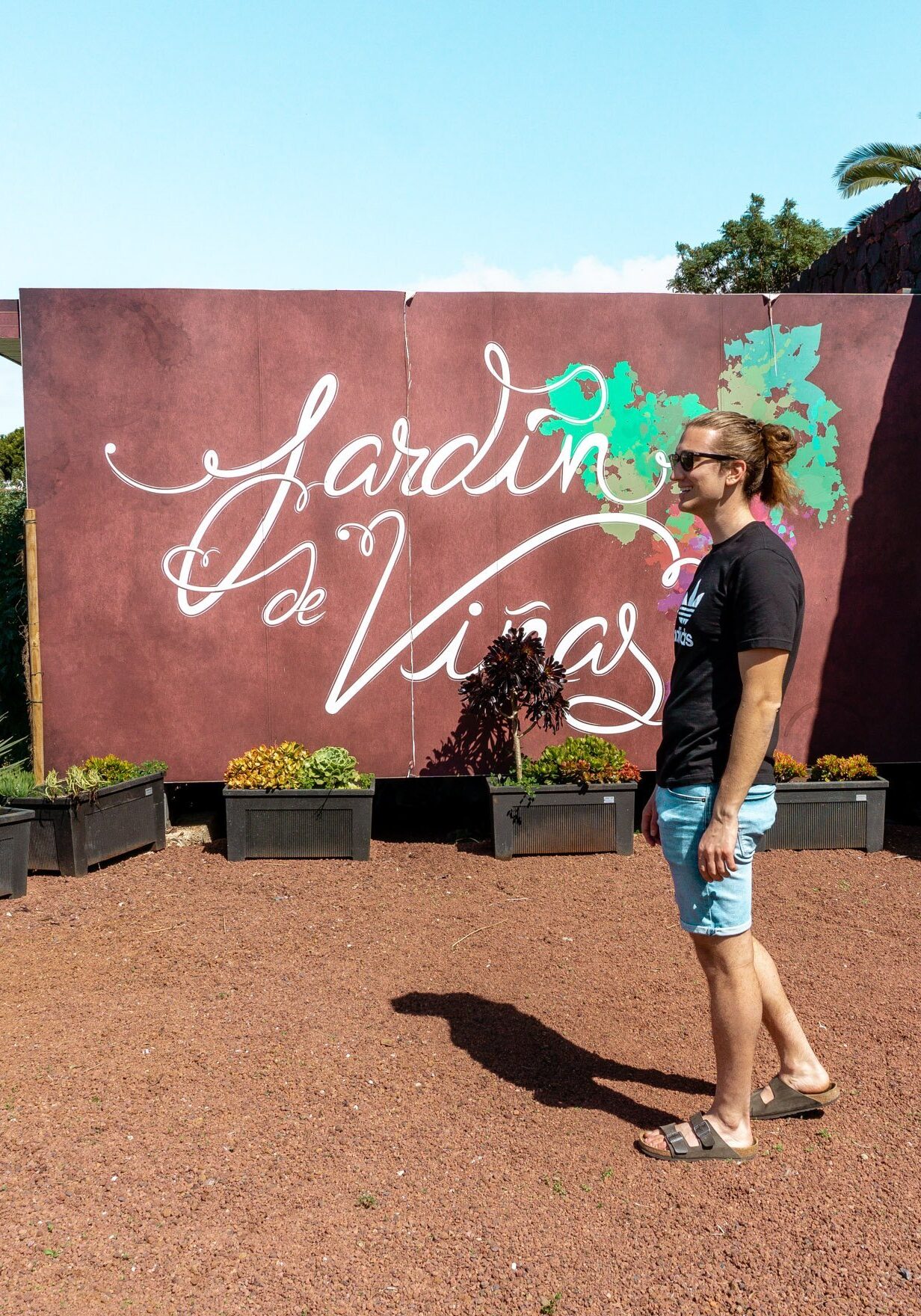 casa-del-vino-tenerife 5