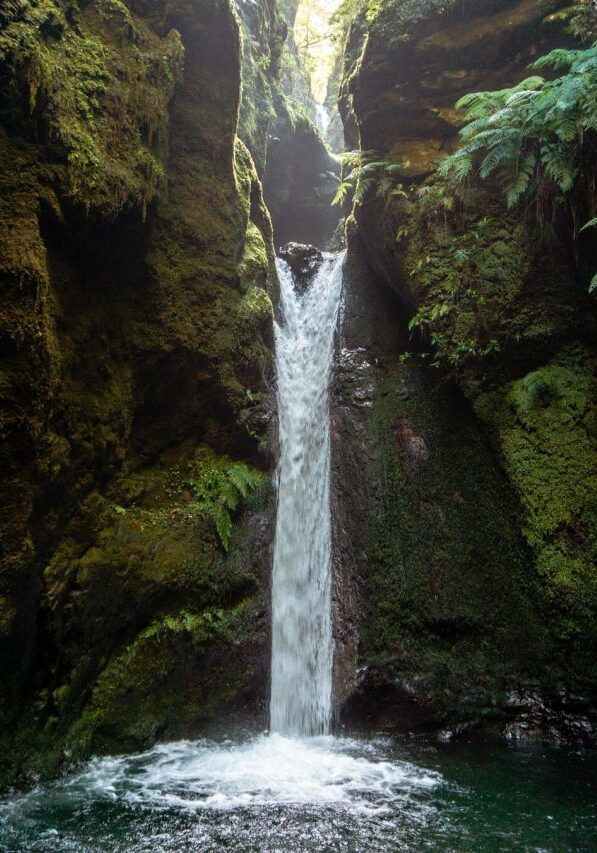 Gorgeous waterfall in the Madeira forest.