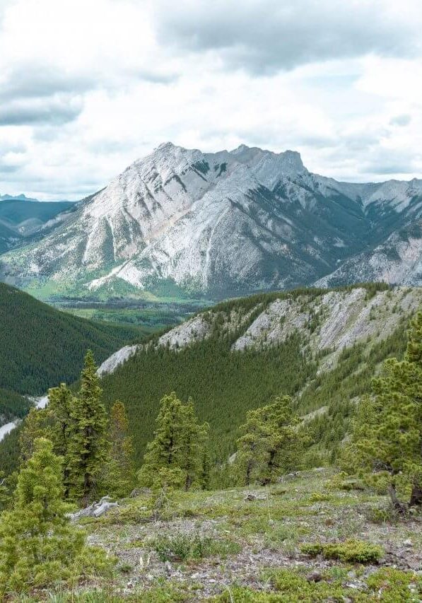 https://redwhiteadventures.com/wp-content/uploads/2021/08/cropped-Wasootch-ridge-4-scaled-1.jpg