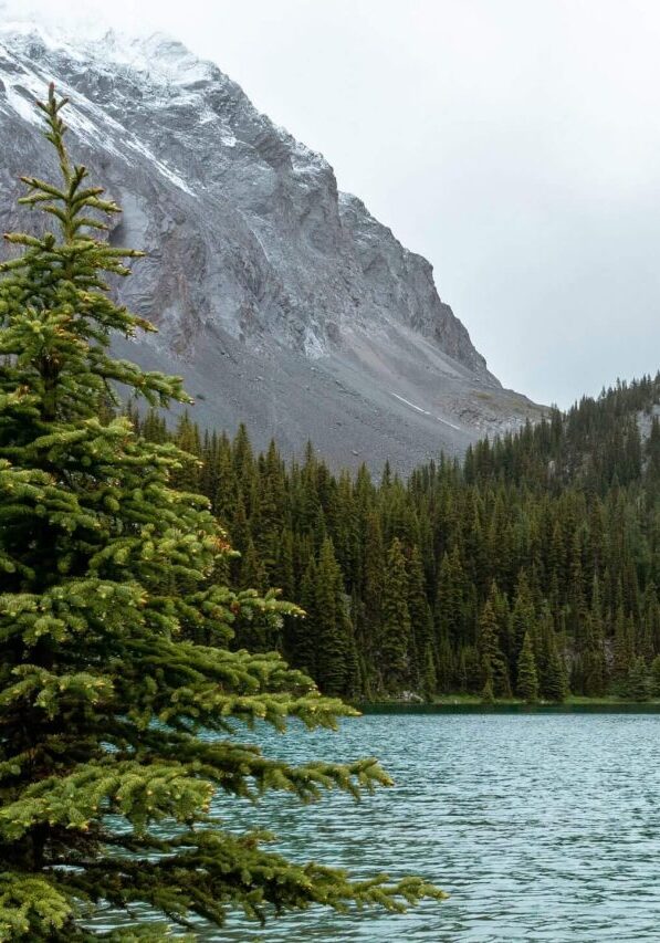 cropped-cropped-chester-lake-7.jpg