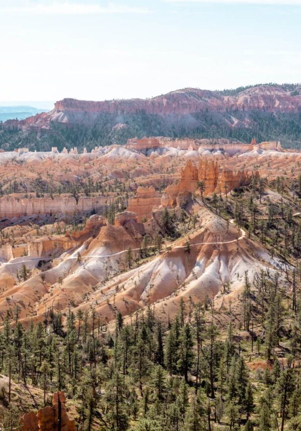 Beautiful picture from above showing the Fairyland Loop Trail in Bryce Canyon.