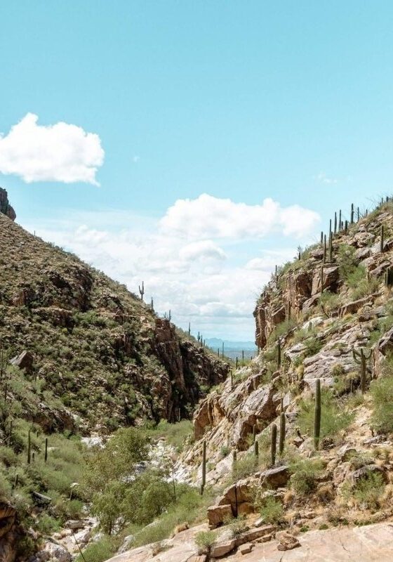 This is one of the amazing views you get when hiking Tucson