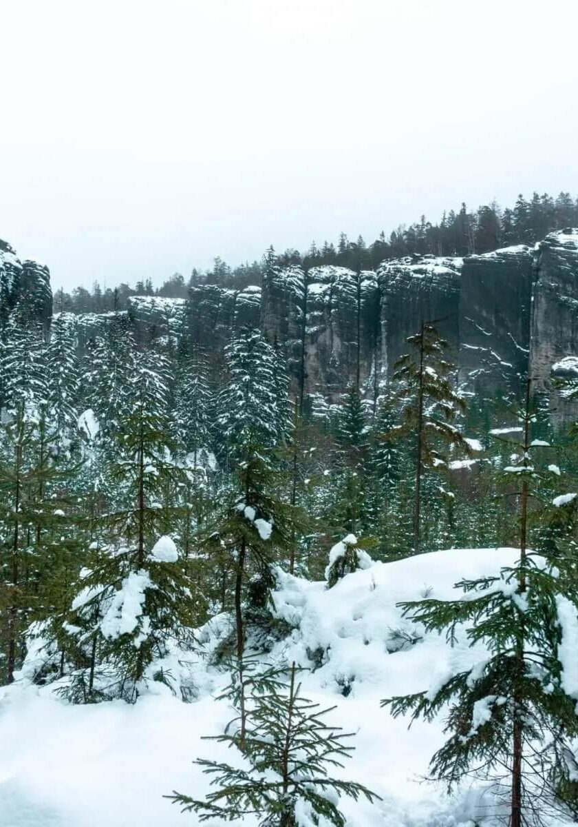 Make sure you visit the beautiful Teplice Rocks Czech Republic if you're in this part of the world.