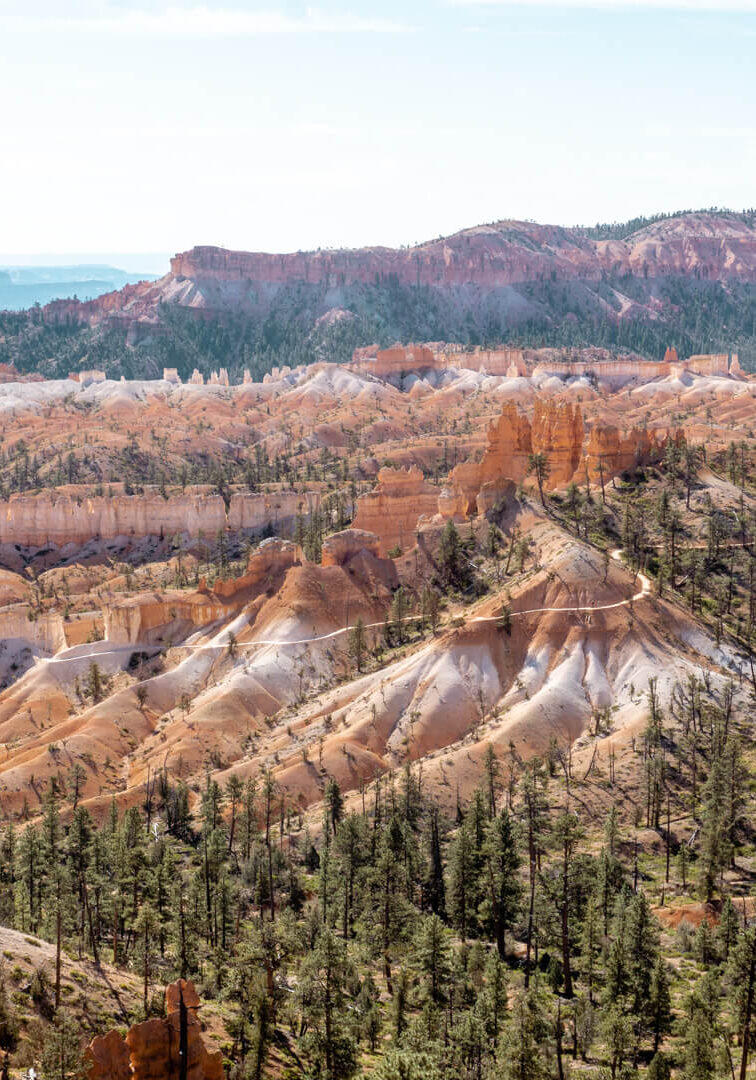 Beautiful picture from above showing the Fairyland Loop Trail in Bryce Canyon.